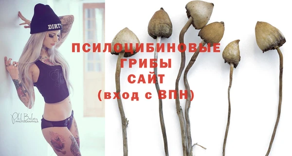 а пвп мука Алексеевка