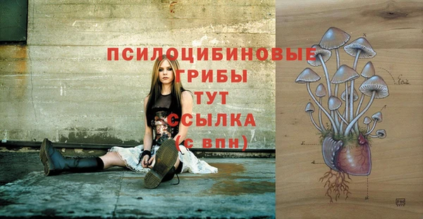а пвп мука Алексеевка