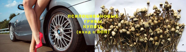 а пвп мука Алексеевка